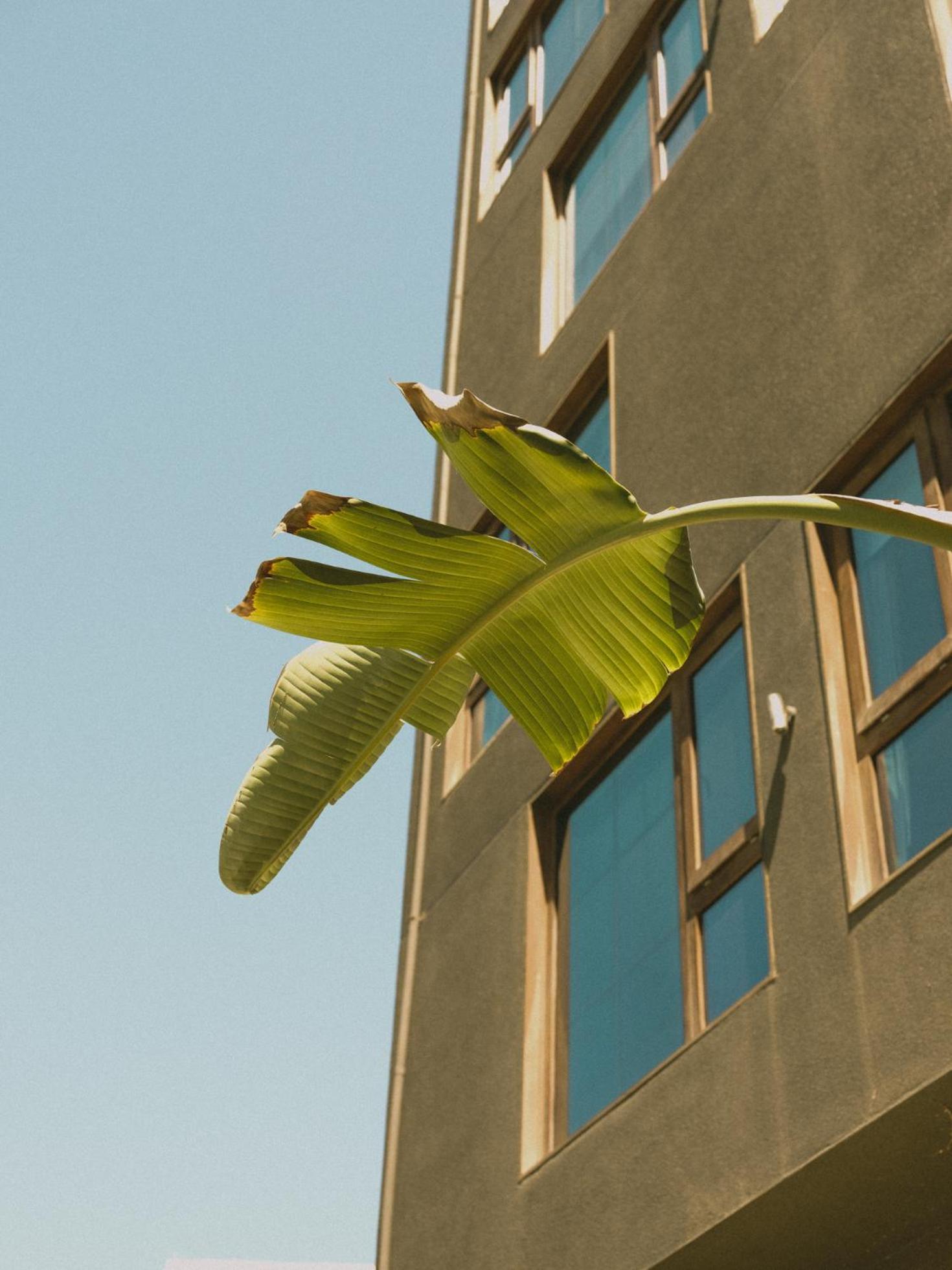 Hotel Eco Boutique Bidasoa Santiago Exterior photo